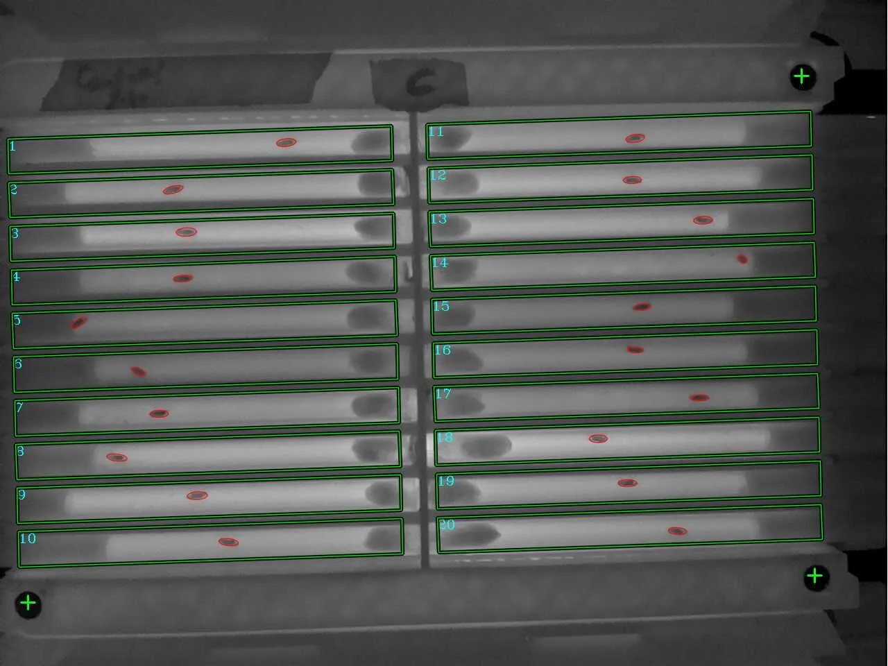 Camera view of a standard arena: twenty tubes outlined in green as regions of interest, and the three targets marked with green crosses