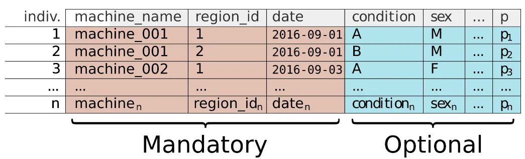 What is the metadata?
