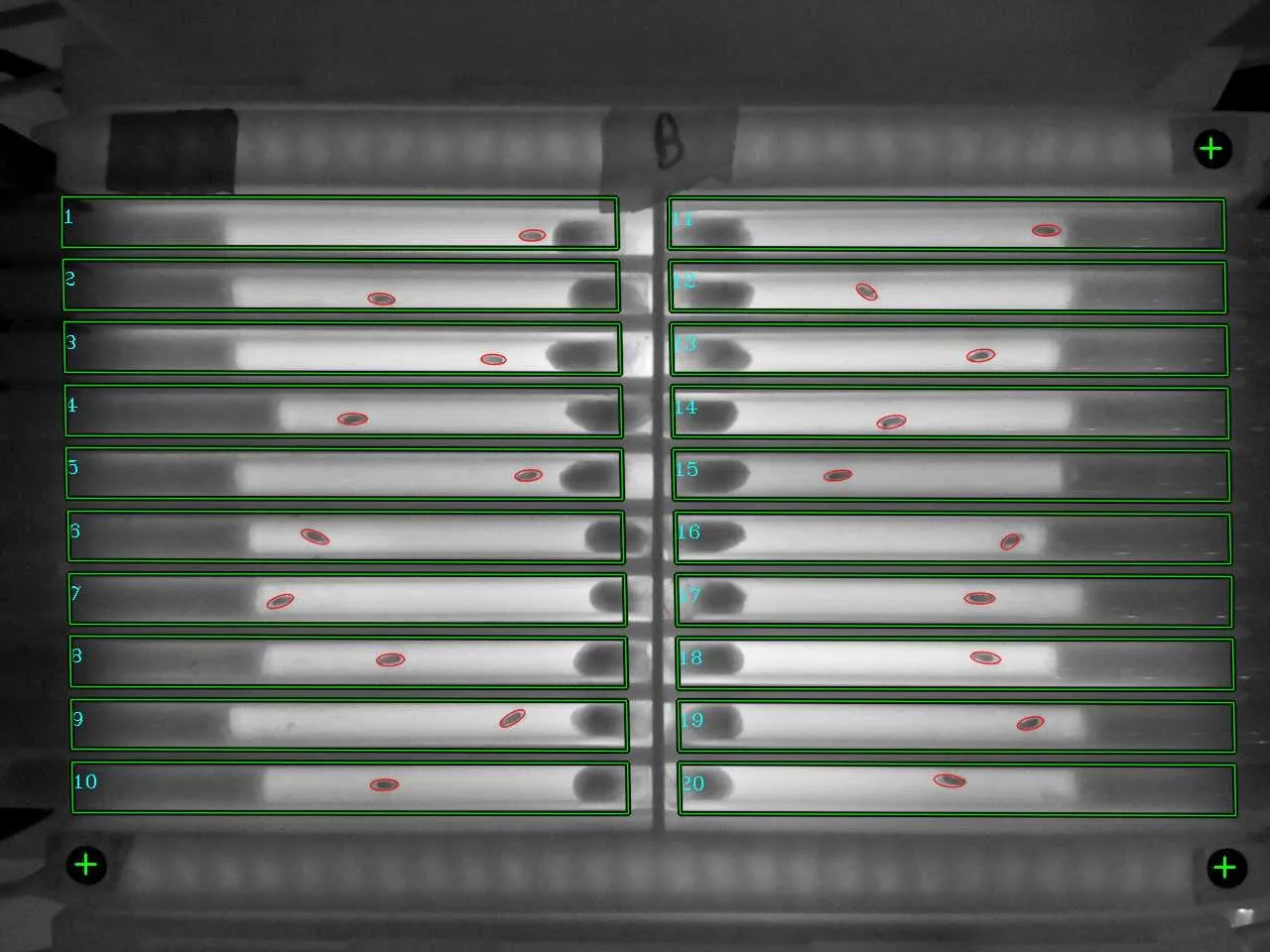 Camera view of the arena on the module, with the twenty regions of interest numbered and tube 1 on the side of the empty black spot