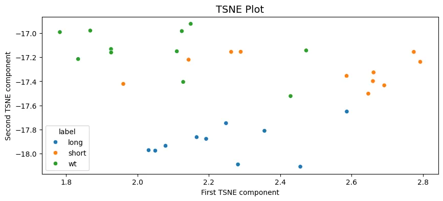 We can see the PCA analysis has 3 distinct groups with some of the WT labelled flies in the short…