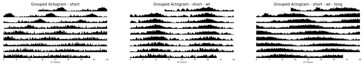 Lets create an averaged Actogram for each period group using the .plot_actogram() method
