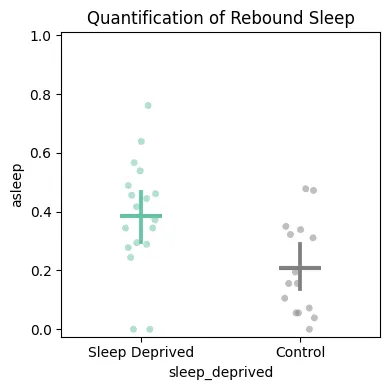 Rebound sleep — 3-hour window after the deprivation ends