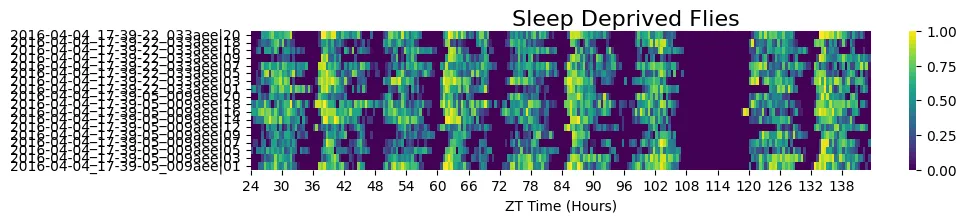 Sleep-deprived subgroup