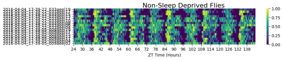 Non-sleep-deprived subgroup