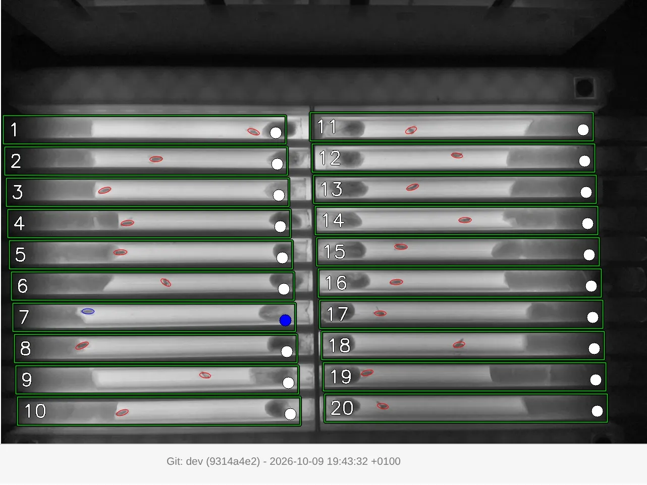 Live camera view of a 20-tube arena with numbered regions; each tracked fly is outlined in red.